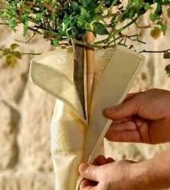 Stambescherming Thermoplus - 100 X 30 Cm