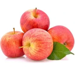 Malus Domestica Gala - Totale Hoogte 120-160 Cm - Pot Ø 26 Cm