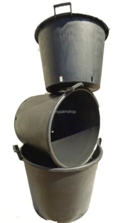 Extra Grote Palmpot - Ø 65 Cm / 110 Ltr [pallet] -Loofbomen Winkel 1927583466