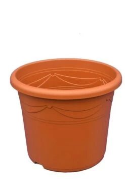 Grote Palmpot - Ø 48 Cm / 45 Ltr.