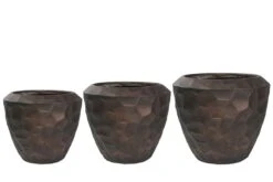 Cascara - Brons - D111H91 Cm [pallet] -Loofbomen Winkel 1936763100