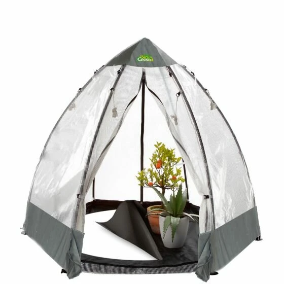 Overwinteringstent Tropical Island - Type L - H: 200 Cm - Ø 240 Cm 1 Overwinteringstent Tropical Island - Type L - H: 200 Cm - Ø 240 Cm