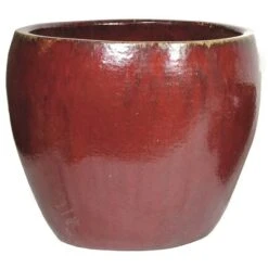 Glorious Belly - Oxblood - D60H50 Cm [pallet]