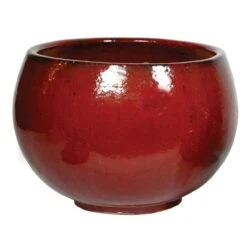 Glorious Bowl - Oxblood - D58H41 Cm [pallet]