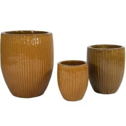 Portly Tall Egg Rib - Honey - D50H60 Cm [pallet] -Loofbomen Winkel 1954466394