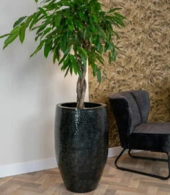 Thom Hoog - Black - D62H88 Cm [pallet] -Loofbomen Winkel 1956198336