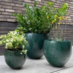 Thom - Ocean - D40H37 Cm -Loofbomen Winkel 1956201747