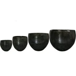 Thom - Black - D72H56 Cm [pallet] -Loofbomen Winkel 1956203259