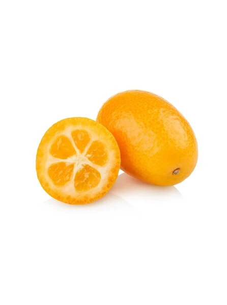 Citrus Kumquat - Stam 15-25 Cm - Totale Hoogte 40-50 Cm - Pot Ø 15 Cm 1 Citrus Kumquat - Stam 15-25 Cm - Totale Hoogte 40-50 Cm - Pot Ø 15 Cm